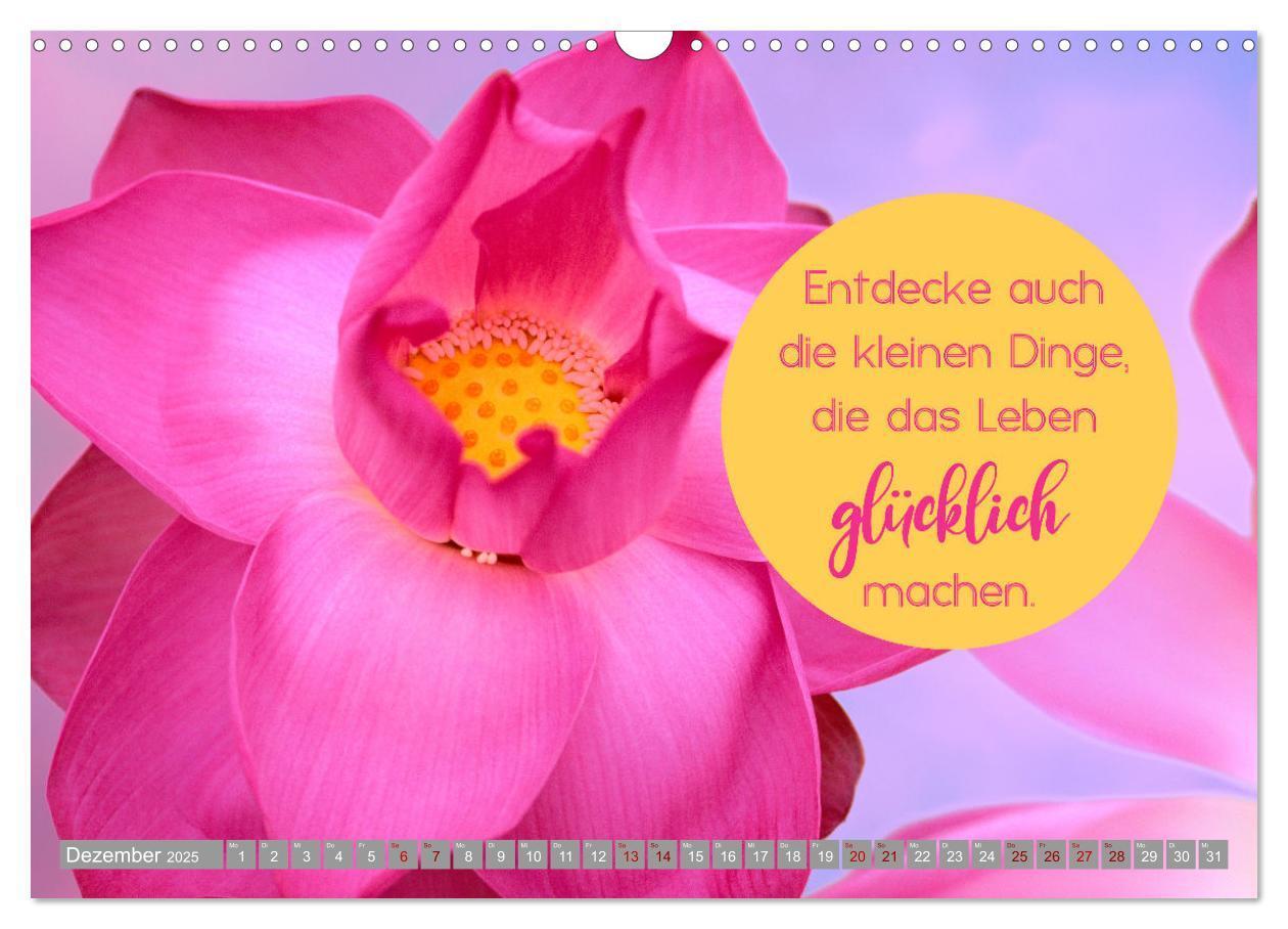 Bild: 9783435066964 | ACHTSAMKEIT - Wege des Glücks (Wandkalender 2025 DIN A3 quer),...