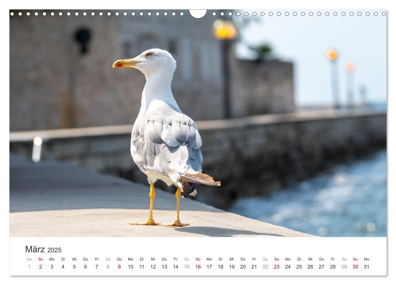 Bild: 9783457202203 | Porec Kalender - Die kroatische Stadt an der Adria (Wandkalender...