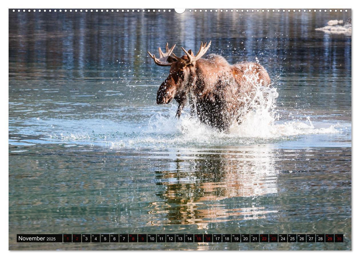 Bild: 9783435038497 | Kanada - Abenteuer in den Nationalparks (Wandkalender 2025 DIN A2...