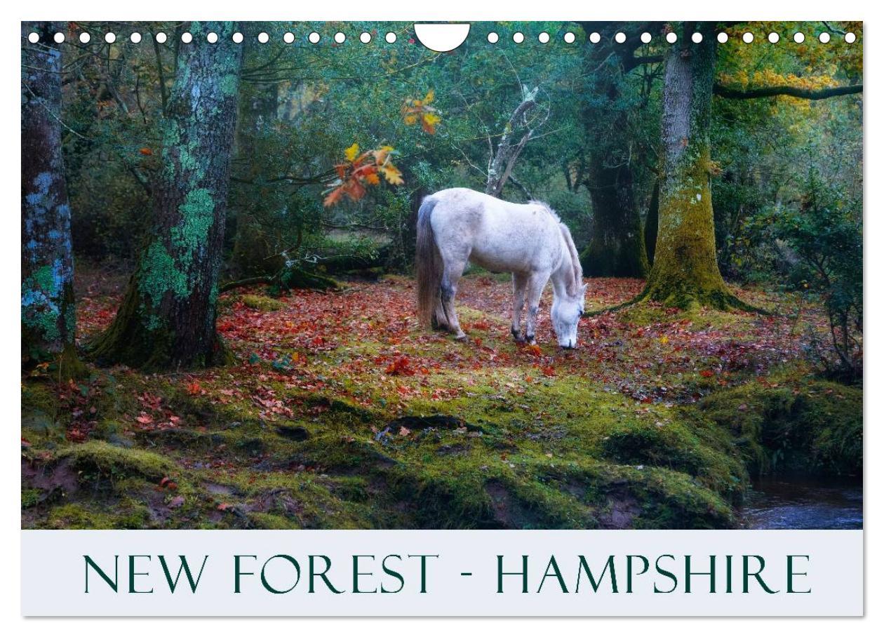 Cover: 9781325951833 | New Forest Hampshire (Wall Calendar 2025 DIN A4 landscape),...