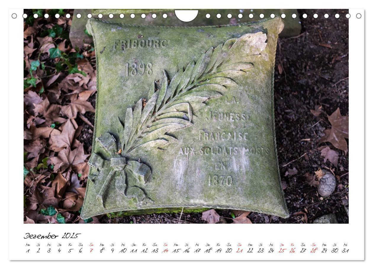 Bild: 9783435712892 | Alter Friedhof Freiburg (Wandkalender 2025 DIN A4 quer), CALVENDO...