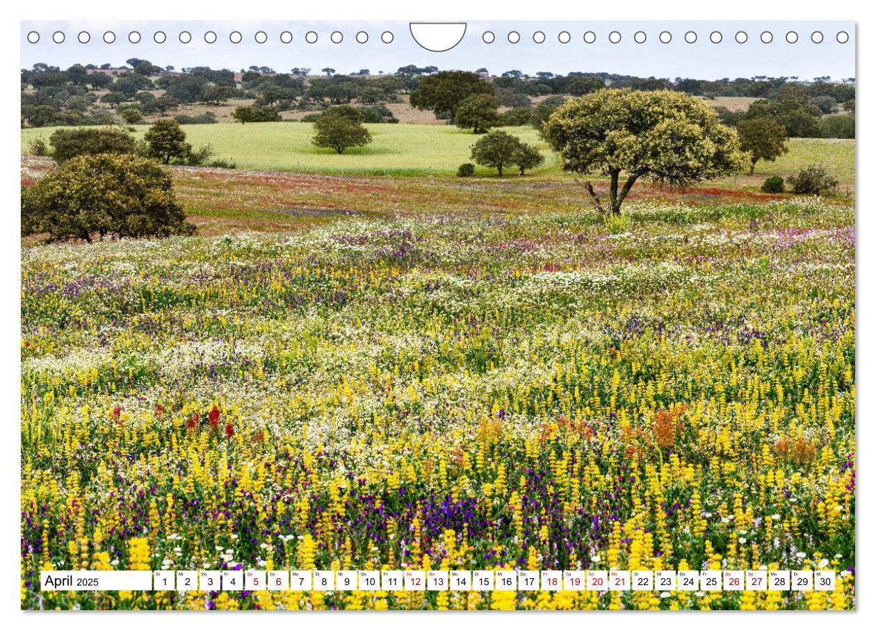 Bild: 9783435117338 | Alentejo - das romantische Portugal (Wandkalender 2025 DIN A4...