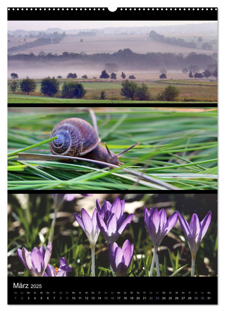 Bild: 9783435914623 | Bezaubernde Farben der Natur (Wandkalender 2025 DIN A2 hoch),...