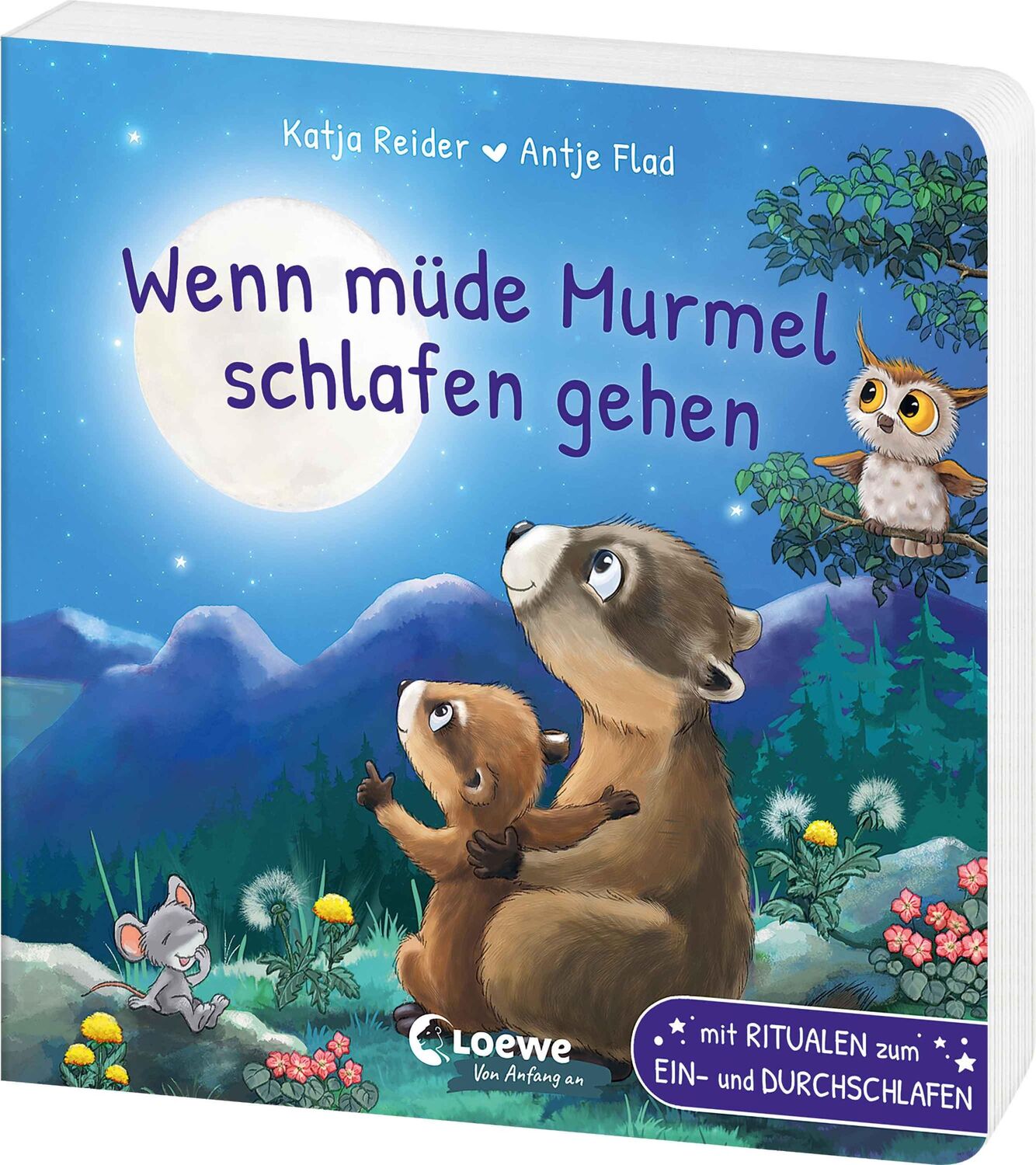 Cover: 9783743218642 | Wenn müde Murmel schlafen gehen | Katja Reider | Buch | 18 S. | 2024