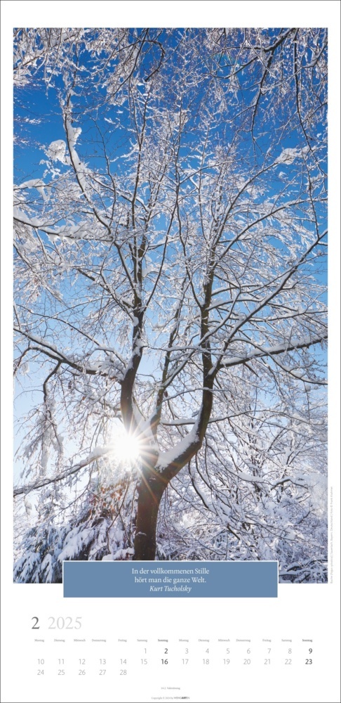 Bild: 9783839900222 | Wunderwelt der Bäume Kalender 2025 | Frank Krahmer | Kalender | 14 S.