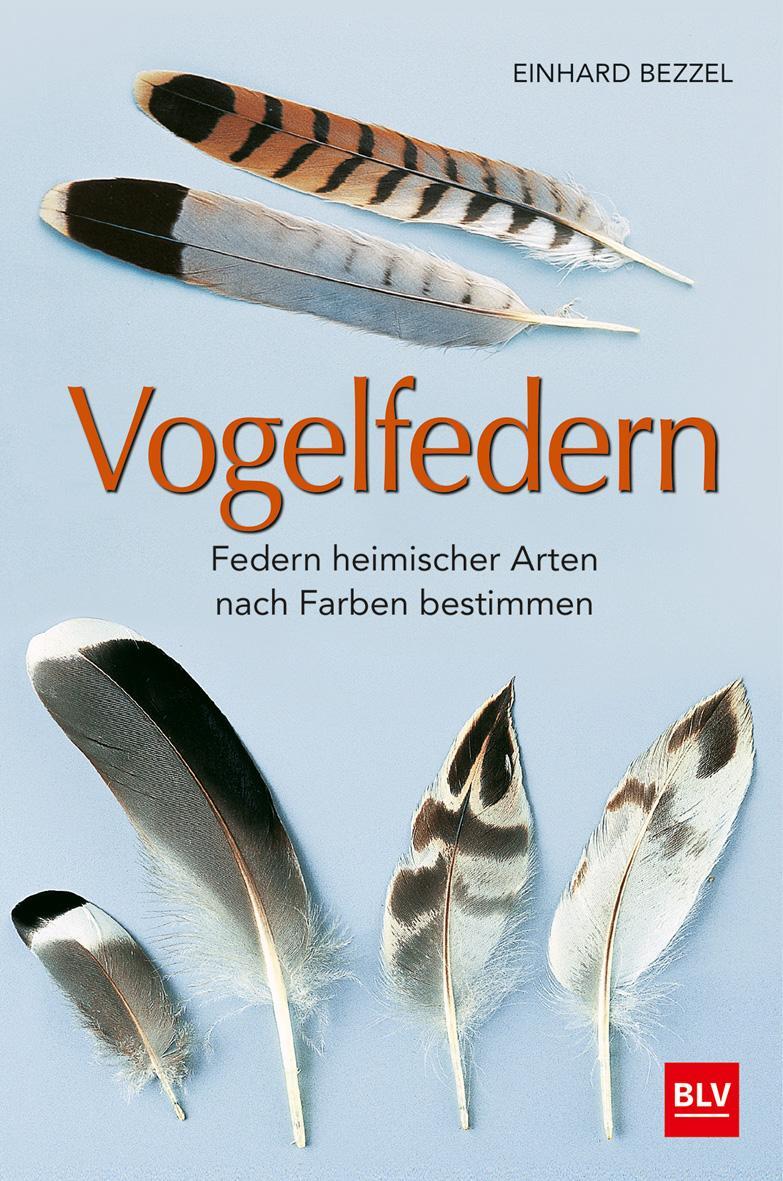 Cover: 9783835418288 | Vogelfedern | Federn heimischer Arten nach Farben bestimmen | Bezzel