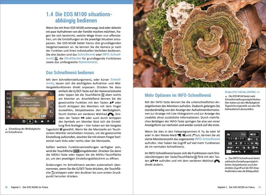 Bild: 9783832802851 | Canon EOS M100 | Das umfangreiche Praxisbuch zu Ihrer Kamera! | Buch