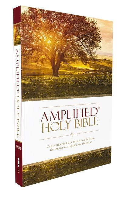 Cover: 9780310443902 | Amplified Bible-Am | Zondervan | Taschenbuch | Buch | Englisch | 2015