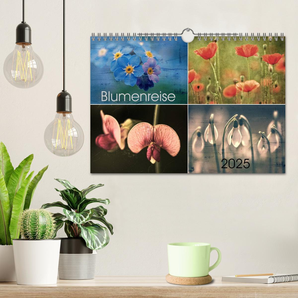 Bild: 9783435612406 | Blumenreise 2025 (Wandkalender 2025 DIN A4 quer), CALVENDO...