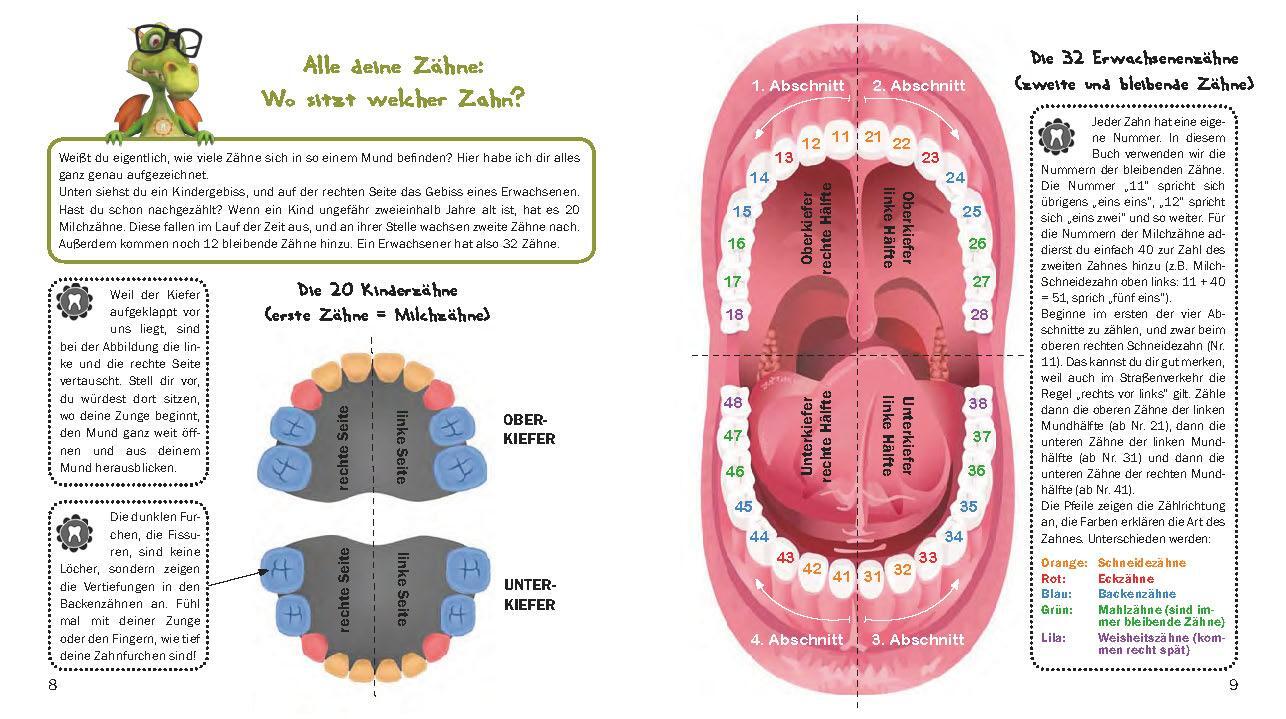 Bild: 9783902943156 | Alle meine Zähne | Caroline Oblasser | Taschenbuch | Paperback | 2020