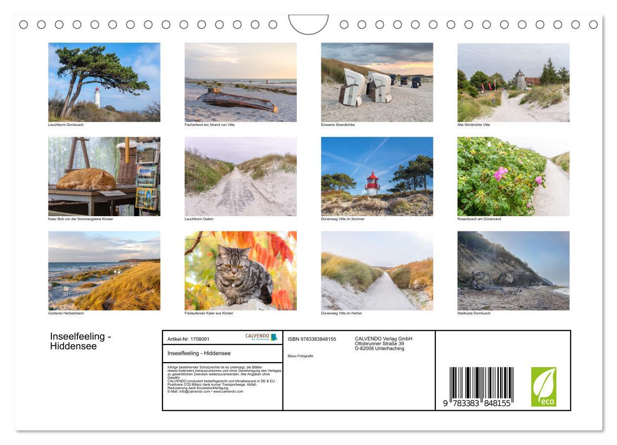 Bild: 9783383848155 | Inseelfeeling - Hiddensee (Wandkalender 2025 DIN A4 quer), CALVENDO...