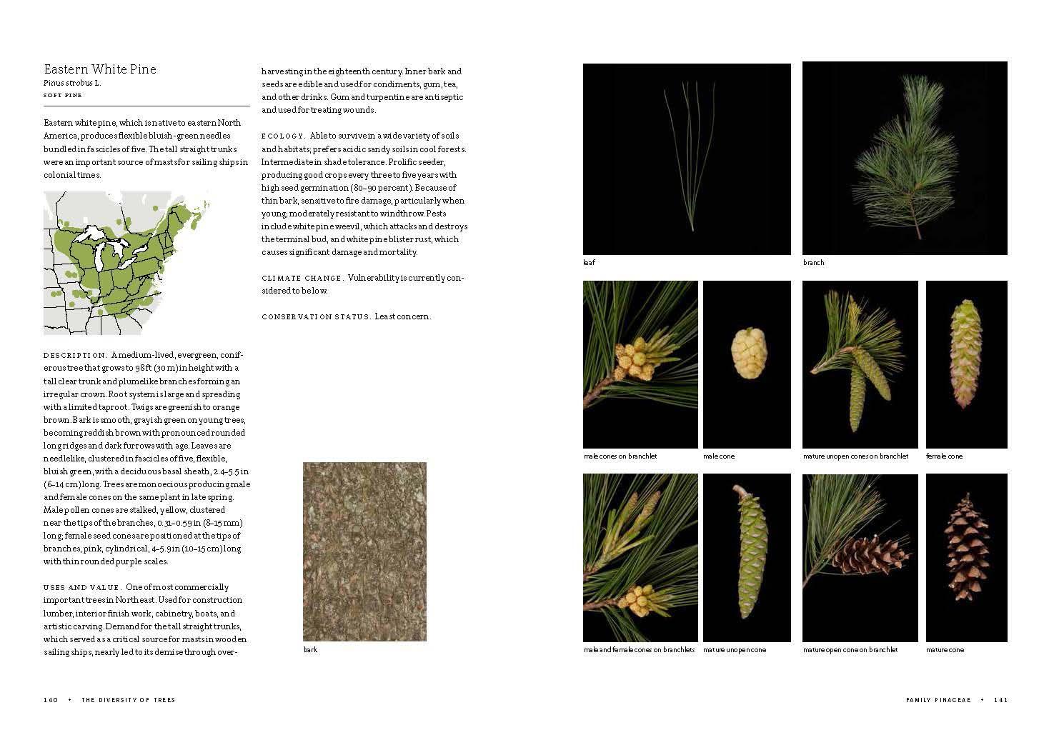 Cover: 9780300185218 | Smithsonian Trees of North America | W John Kress | Buch | Englisch