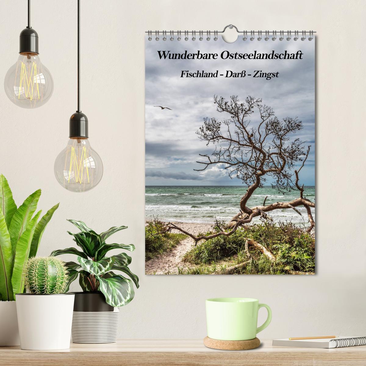 Bild: 9783435956654 | Wunderbare Ostseelandschaft Fischland-Darß-Zingst (Wandkalender...