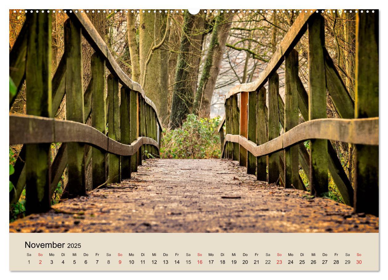 Bild: 9783435317714 | Der Wald. Durch zauberhafte Waldlandschaften (Wandkalender 2025 DIN...