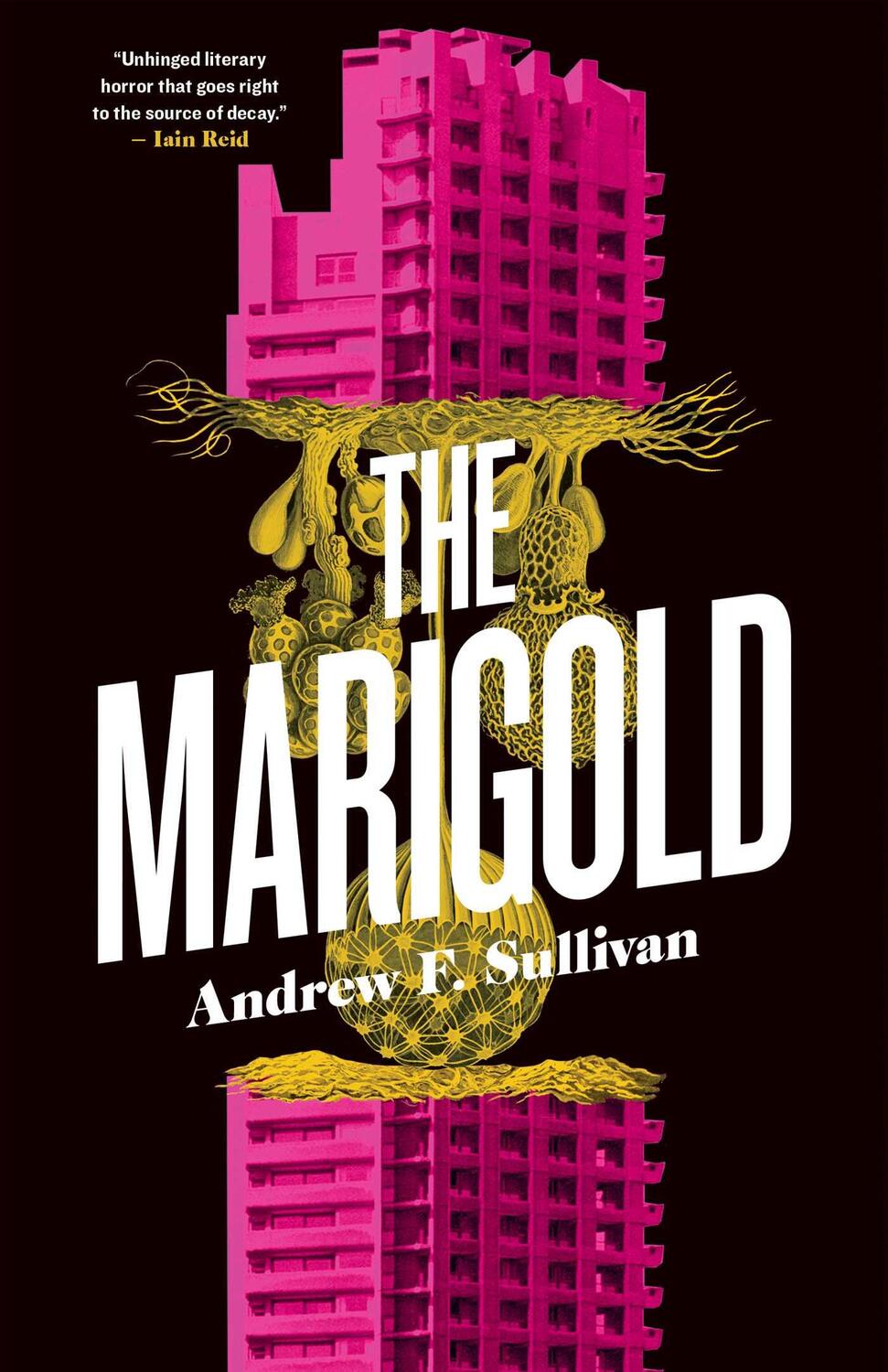 Cover: 9781770416642 | The Marigold | Andrew F Sullivan | Taschenbuch | Englisch | 2023