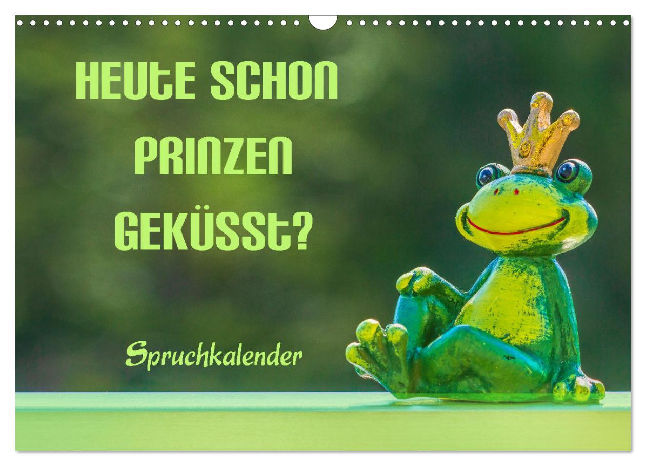 Cover: 9783435052257 | Heute schon Prinzen geküsst? Spruchkalender (Wandkalender 2025 DIN...