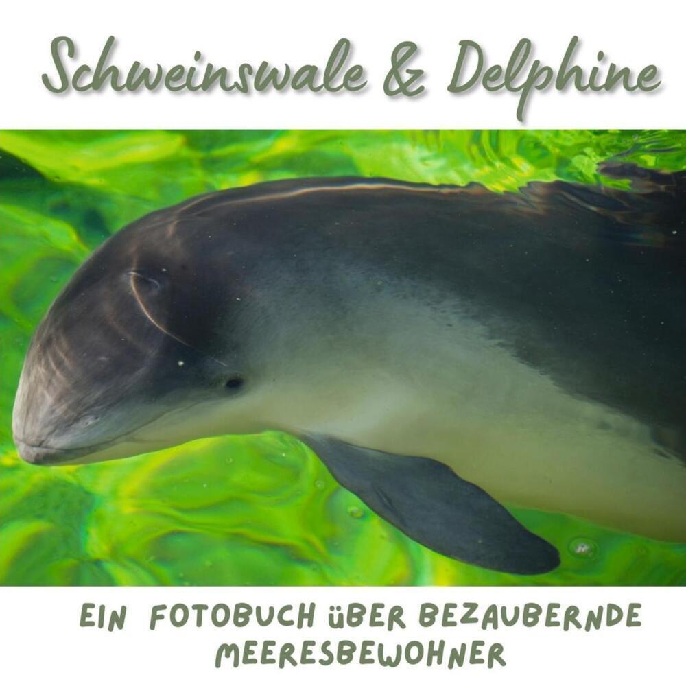 Cover: 9783750515109 | Schweinswale &amp; Delphine | Bibi Hübsch | Taschenbuch | 42 S. | Deutsch