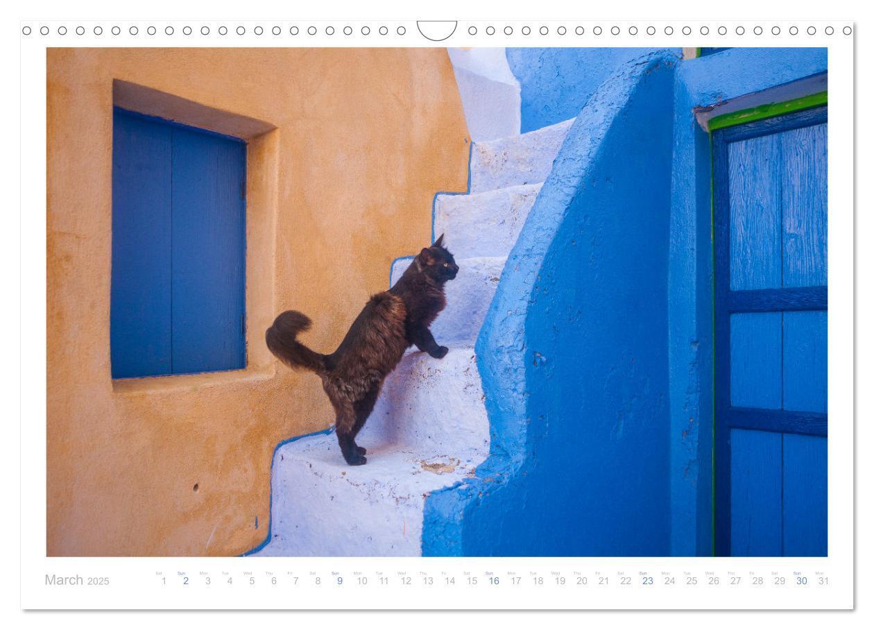 Bild: 9781325833832 | Cats of the Greek Islands (Wall Calendar 2025 DIN A3 landscape),...