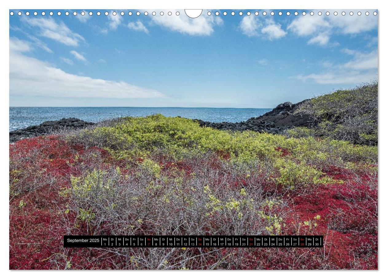 Bild: 9783435705450 | Galapagos- Landschaften (Wandkalender 2025 DIN A3 quer), CALVENDO...