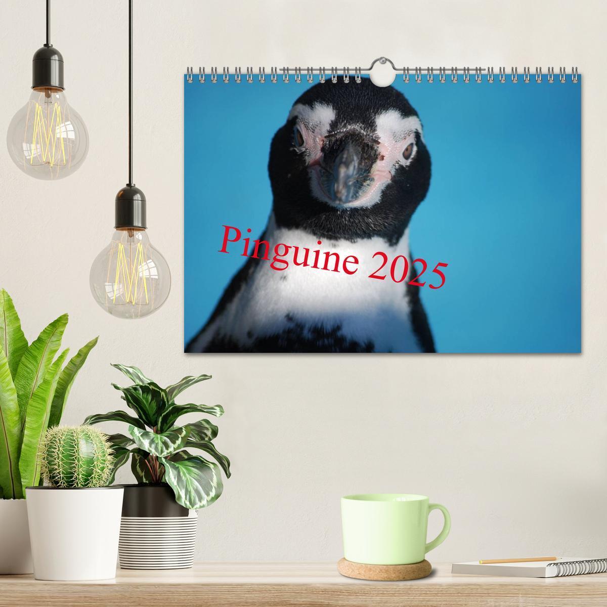 Bild: 9783435790371 | Pinguine 2025 (Wandkalender 2025 DIN A4 quer), CALVENDO Monatskalender