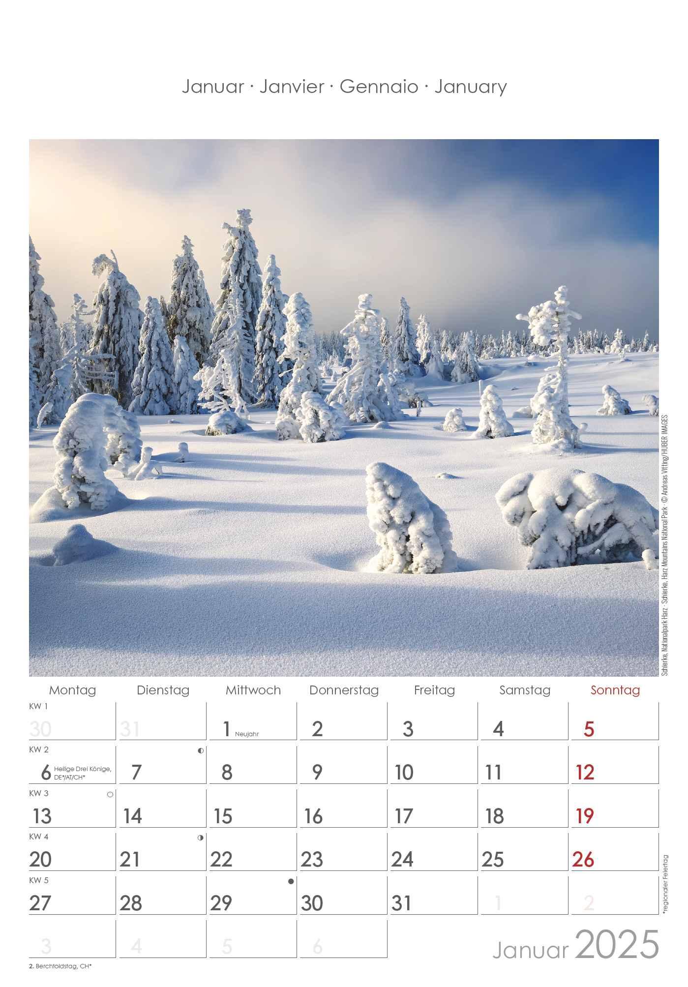 Bild: 4251732343187 | Sachsen-Anhalt 2025 - Bild-Kalender 23,7x34 cm - Regional-Kalender...