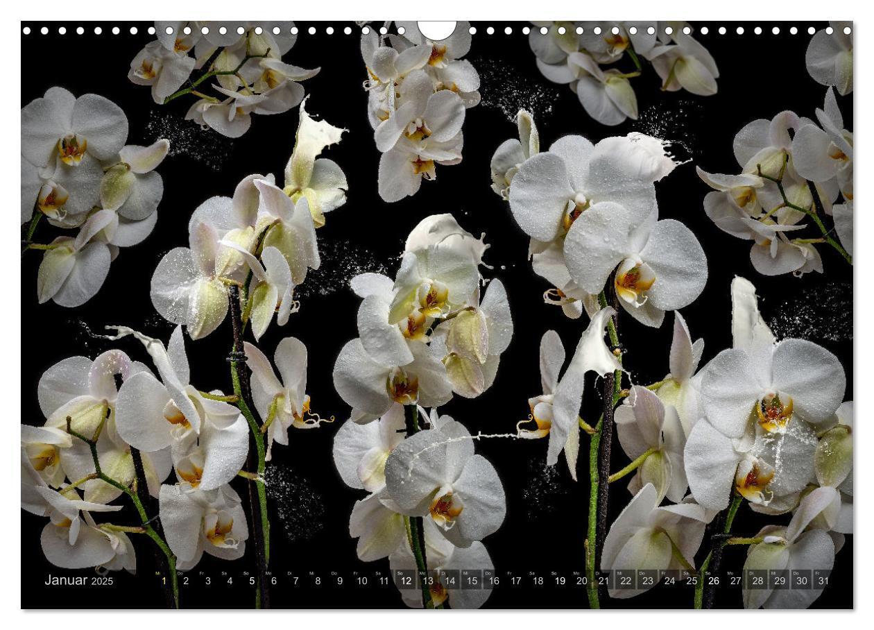 Bild: 9783383852251 | Orchidea (Wandkalender 2025 DIN A3 quer), CALVENDO Monatskalender