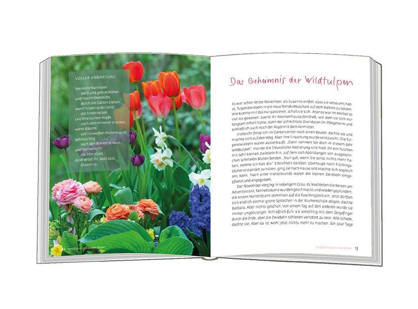 Bild: 9783987000683 | Schläft ein Lied in allen Blüten | Mit Blumen durch das Jahr | Buch