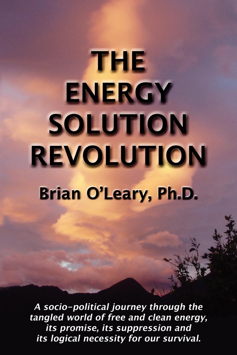 Cover: 9780979917646 | The Energy Solution Revolution | Brian O'Lelary | Taschenbuch | 2008