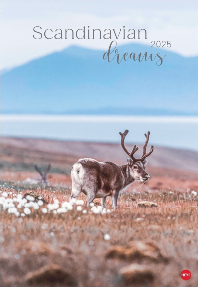 Cover: 9783756408368 | Scandinavian Dreams Posterkalender 2025 | Marcel Weber | Kalender