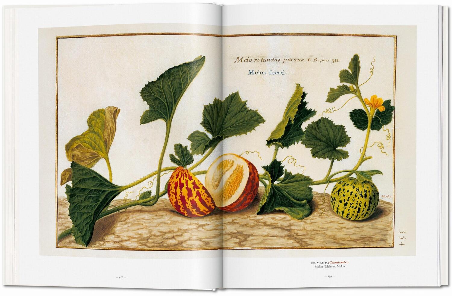 Bild: 9783836577397 | A Garden Eden. Masterpieces of Botanical Illustration | H. Walter Lack