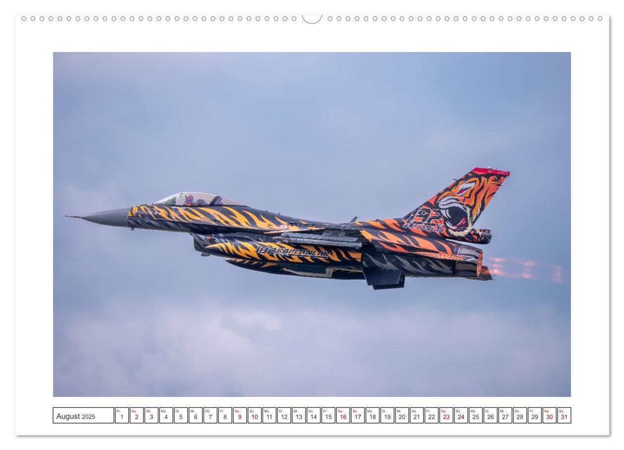 Bild: 9783457154243 | Tiger Meet Schleswig (Wandkalender 2025 DIN A2 quer), CALVENDO...