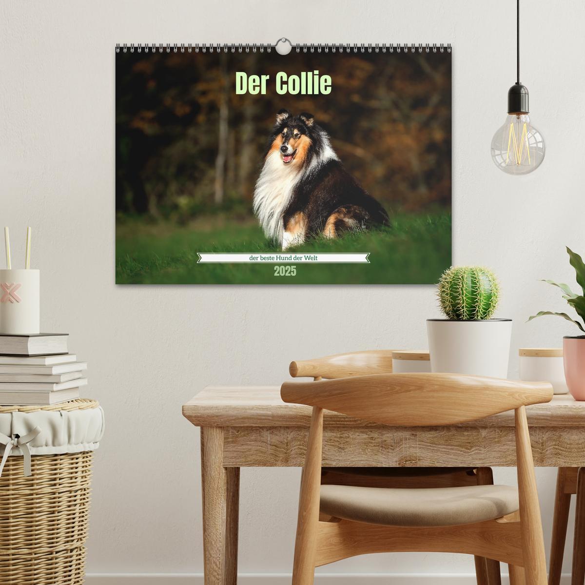 Bild: 9783435018598 | Der Collie der beste Hund der Welt (Wandkalender 2025 DIN A3 quer),...