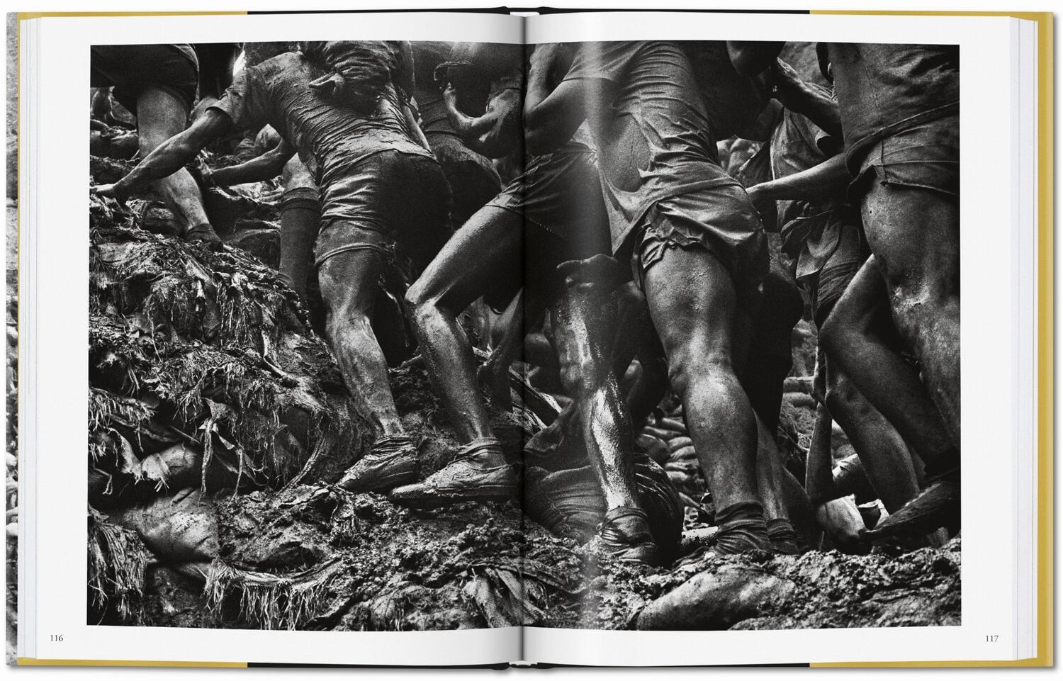 Bild: 9783836575089 | Sebastião Salgado. Gold | Alan Riding | Buch | GER, Hardcover | 208 S.