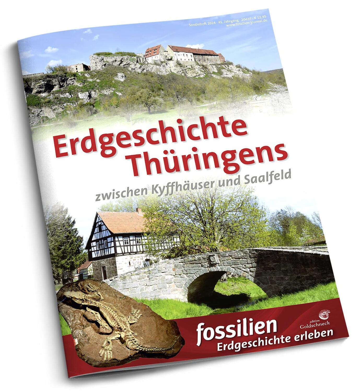 Cover: 9783494019772 | Erdgeschichte Thüringens | zwischen Kyffhäuser und Saalfeld | Buch