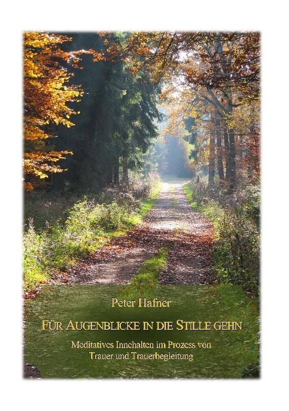 Cover: 9783756202003 | Für Augenblicke in die Stille gehn | Peter Hafner | Buch | 100 S.