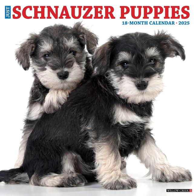 Cover: 9781549244759 | Just Schnauzer Puppies 2025 12 X 12 Wall Calendar | Willow Creek Press