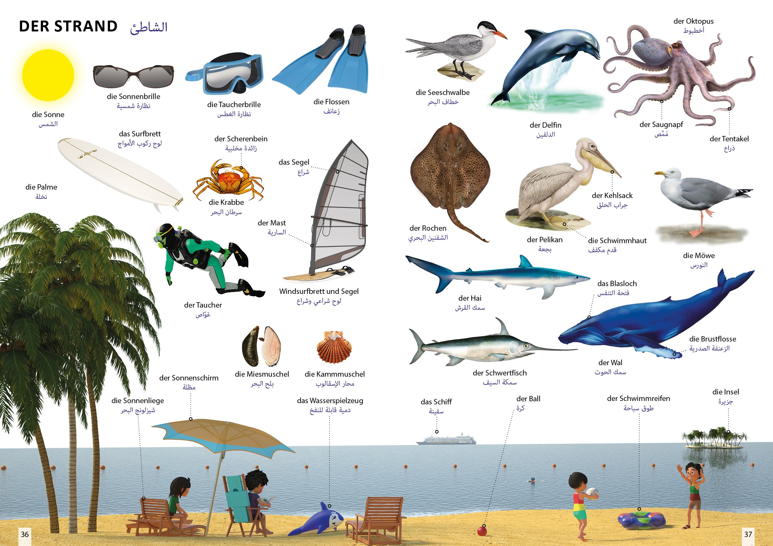 Bild: 9783898947787 | Bildwörterbuch für Kinder und Eltern Arabisch-Deutsch | Igor Jourist