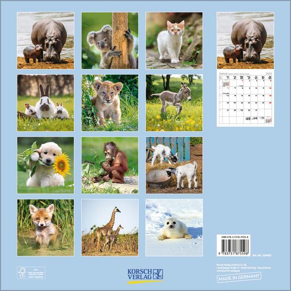 Bild: 9783731875598 | Tierkinder 2025 | Verlag Korsch | Kalender | 13 S. | Deutsch | 2025