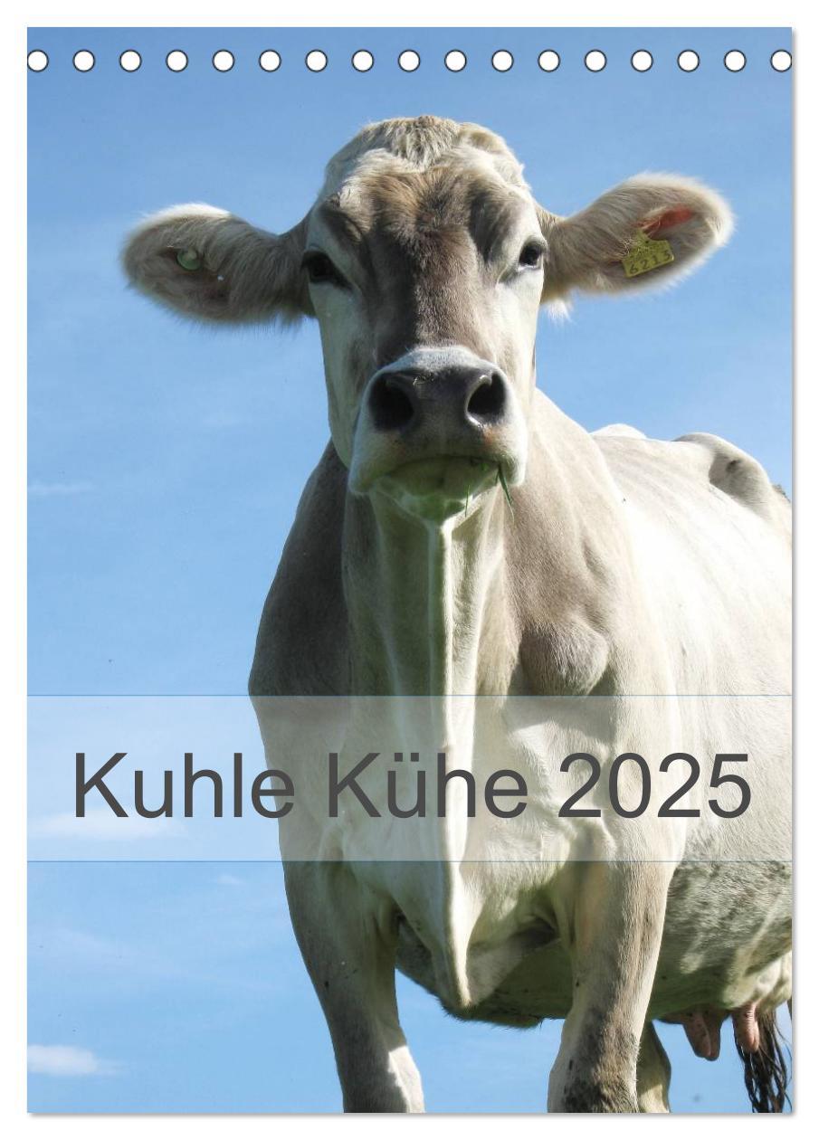 Cover: 9783457032671 | Kuhle Kühe 2025 (Tischkalender 2025 DIN A5 hoch), CALVENDO...