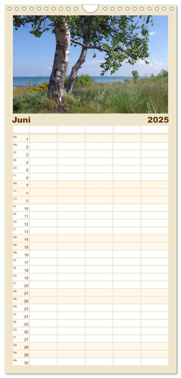 Bild: 9783457122532 | Familienplaner 2025 - Rügen PUR mit 5 Spalten (Wandkalender, 21 x...