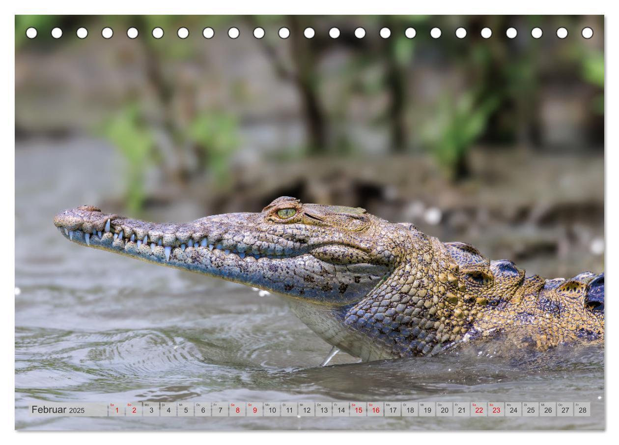 Bild: 9783457163610 | Tropenparadies zwischen Ozeanen Costa Rica (Tischkalender 2025 DIN...