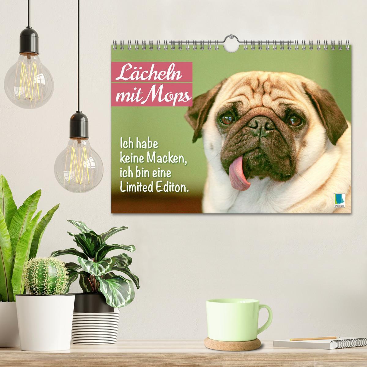 Bild: 9783457167144 | Lächeln mit Mops (Wandkalender 2025 DIN A4 quer), CALVENDO...