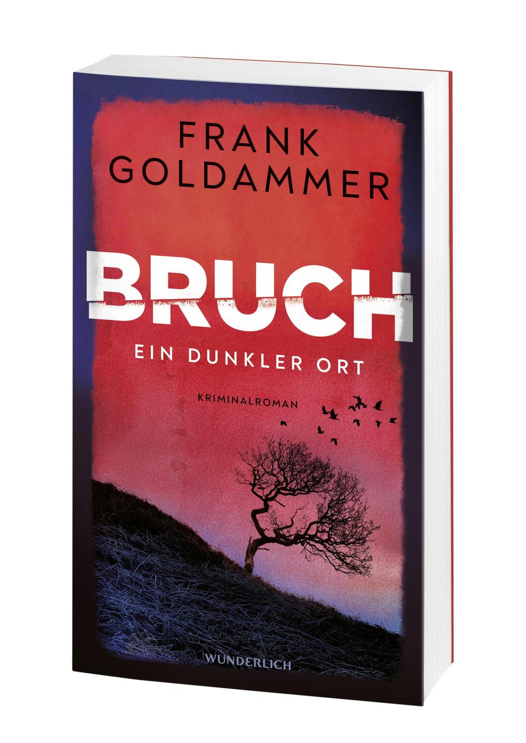 Bild: 9783805200905 | Bruch: Ein dunkler Ort | Ein dunkler Ort | Frank Goldammer | Buch