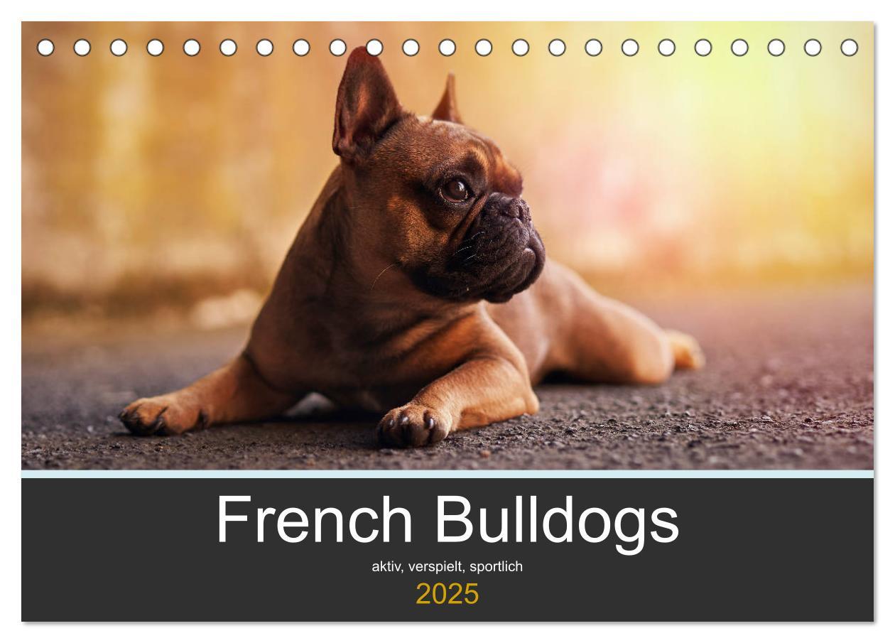 Cover: 9783435298372 | French Bulldog aktiv, verspielt, sportlich (Tischkalender 2025 DIN...