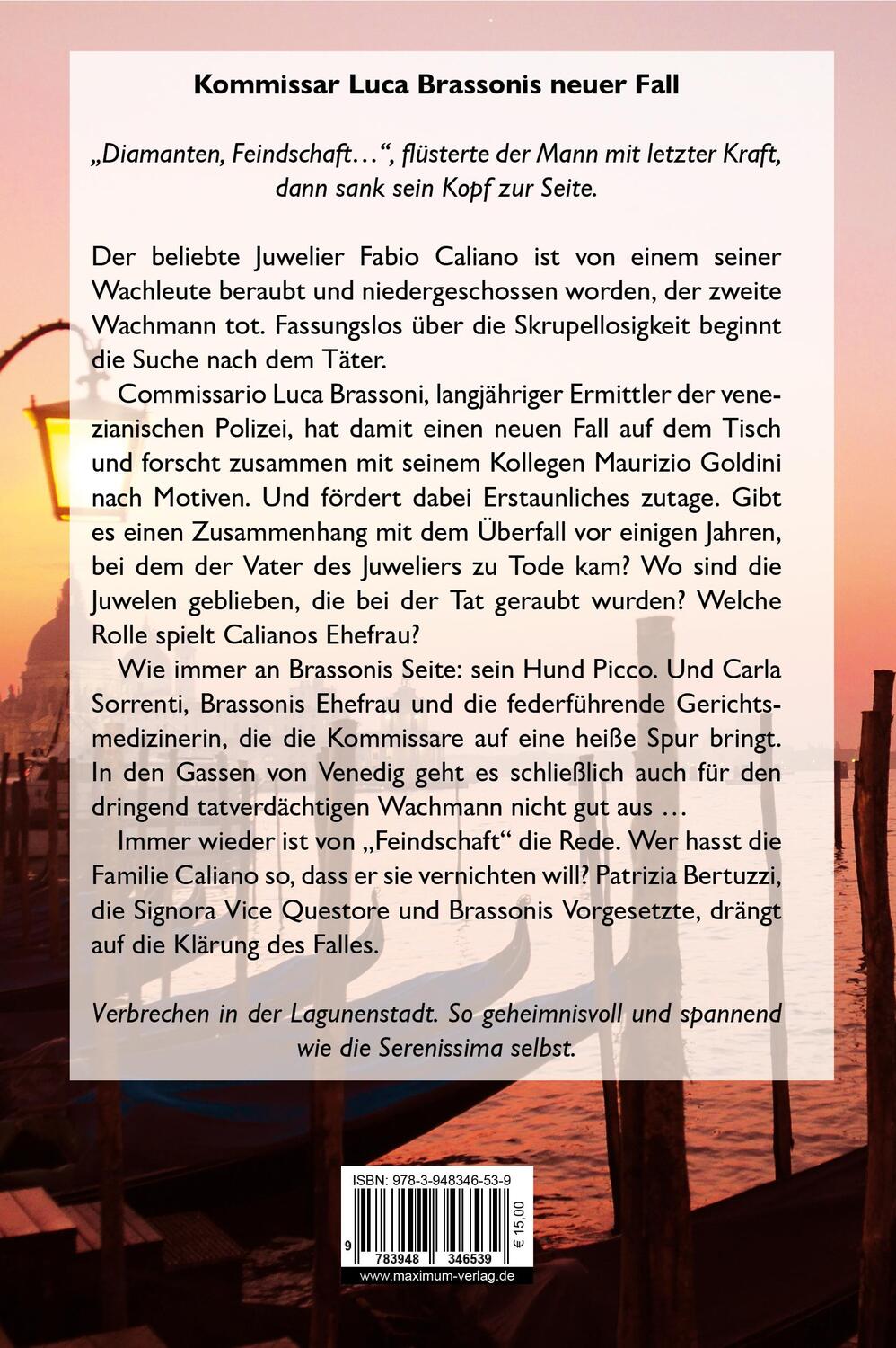 Bild: 9783948346539 | Venezianische Feindschaft | Daniela Gesing | Taschenbuch | Deutsch