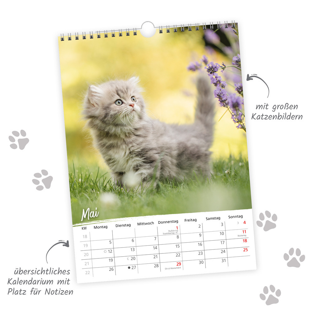 Bild: 9783988022035 | Trötsch Classickalender Liebste Katzen 2025 | Wandkalender | Kalender