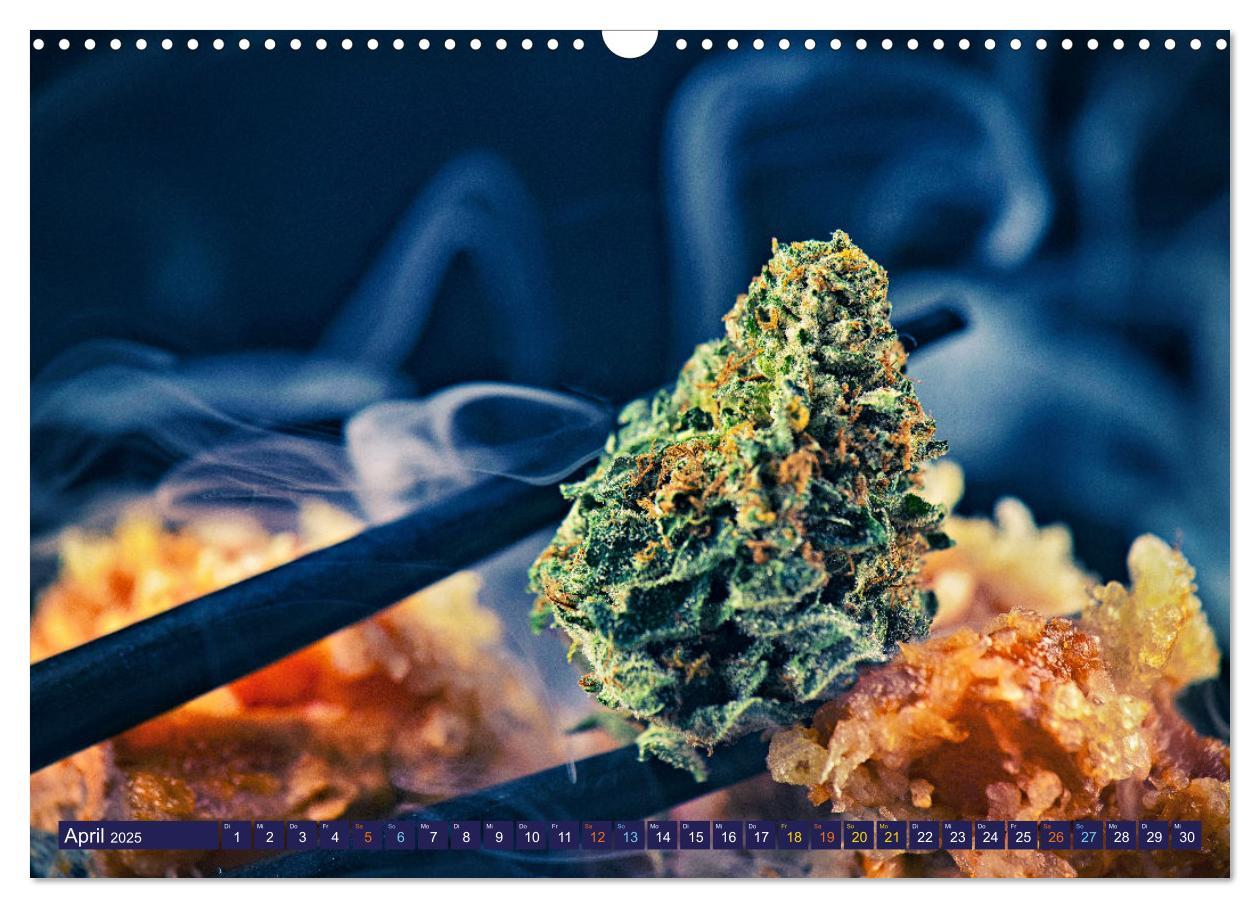 Bild: 9783435696123 | Faszination Cannabis (Wandkalender 2025 DIN A3 quer), CALVENDO...