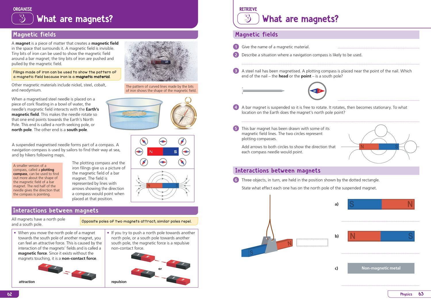 Bild: 9780008598686 | KS3 Science Year 8: Organise and retrieve your knowledge | Collins KS3