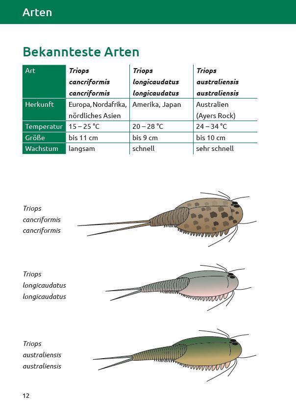 Bild: 9783944484303 | Triops - Ratgeber zur artgerechten Aufzucht und Haltung | Taschenbuch