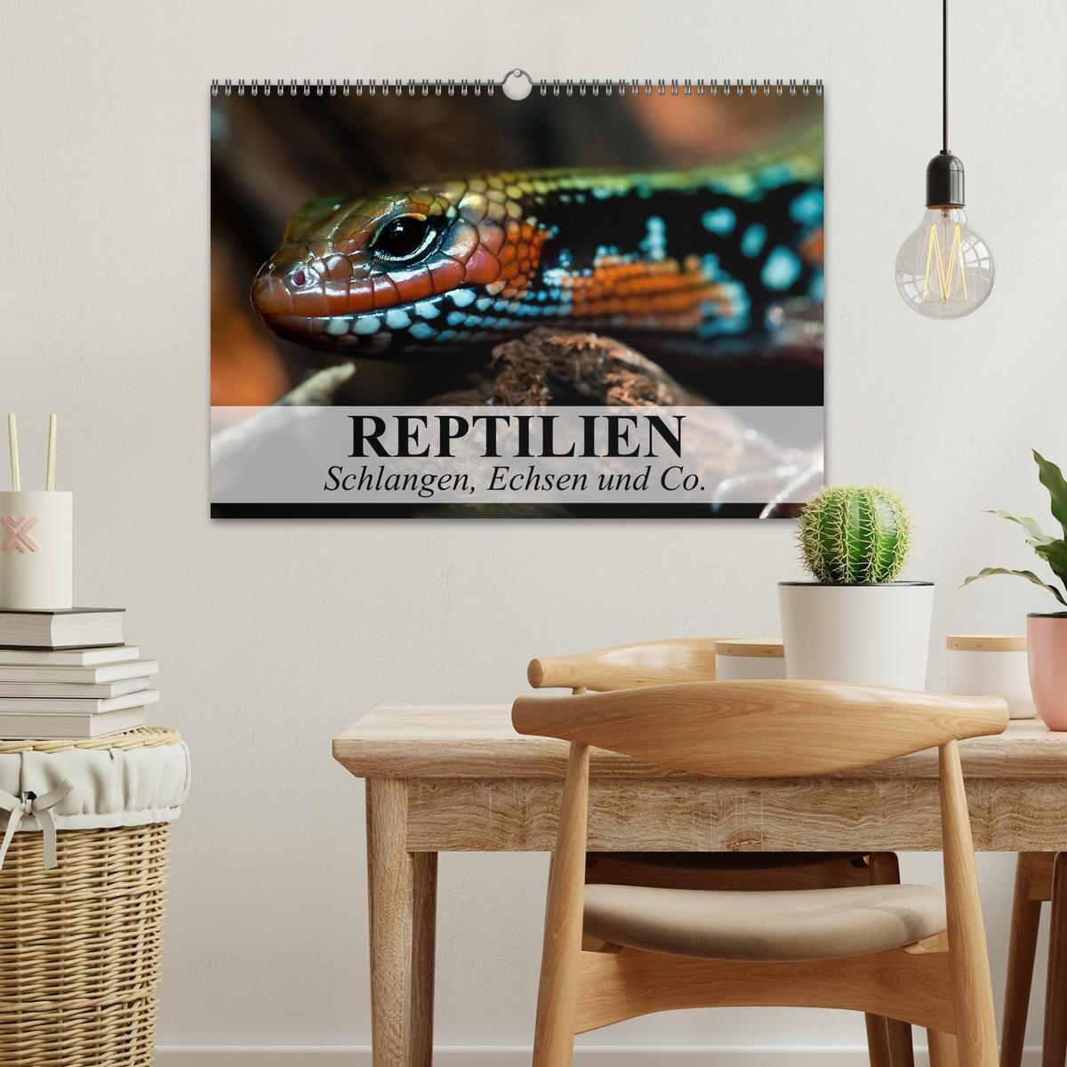 Bild: 9783435625352 | Reptilien Schlangen, Echsen und Co. (Wandkalender 2025 DIN A3...